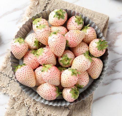 水莓100完全国产免费,国产免费,引领健康生活新潮流